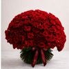 Margot - 300 Rosas Vermelhas