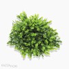 Mini Galho Pick Boxwood Artificial - Verde (9966)