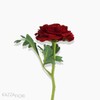 Galho Ranunculus Artificial - Vermelho (10044)