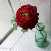 Arranjo para Montar Artificial com Galho Ranunculus Vermelho