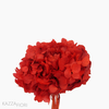 Flor de Hortência Seca Cores Sortidas - Vermelho (0120156)