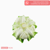 Couve-flor Artificial - Verde (10897)