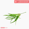 Mini Folhagem Grass Pick Artificial - Verde (10831)