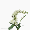 Galho Delphinium Artificial - Branco (9303)