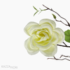 Galho Camelia Articial - Branco (7622)