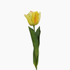 Galho Tulipa Seda Artificial - Amarelo (4233)