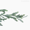 Folhagem Pendente Artificial  - Verde (012498)