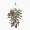 Folhagem Pendente Artificial - Verde Escuro (012493)
