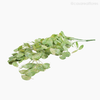 Folhagem Pendente Artificial - Verde Claro (012492)