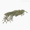 Folhagem Pendente Artificial - Verde Escuro (012495)