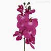 Galho Orquídea Artificial - Rosa Escuro (012828)