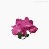 Galho Orquídea Artificial - Rosa Escuro (012828)