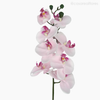 Galho Orquídea Artificial - Rosa Claro (012829)