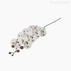 Galho Orquídea Artificial - Branco (012837)