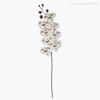 Galho Orquídea Artificial - Branco (012837)