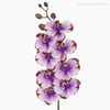 Galho Orquídea Artificial - Roxo (012835)