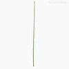 Galho Bambu Artificial - Verde (4246)