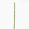 Galho Bambu Artificial - Verde (4246)