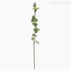 Galho Folha Hera Ivy Artificial - Verde Claro (9628)