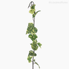 Galho Folha Hera Ivy Artificial - Verde Claro (9628)