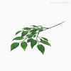 Folhagem Ficus Artificial - Verde (1154)