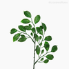 Folhagem Ficus Artificial - Verde (1154)