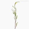 Galho Bambu Folha Artificial - Verde (7867)