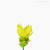 Galho de Bromélia Artificial - Amarelo (11905)