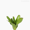 Bromélia Artificial - Verde Escuro (11895)