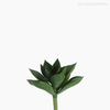 Mini Suculento Artificial - Verde Escuro (11626)