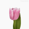 Galho Tulipa Artificial - Rosa Escuro (12825)