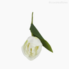 Galho Tulipa Artificial - Branco (12823)