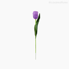 Tulipa de Plástico - Roxo (92275)