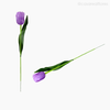 Tulipa de Plástico - Roxo (92275)