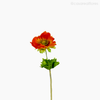Flor Anemone Artificial - Laranja (77457)