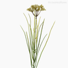 Galho Silver Artificial - Branco (12732)