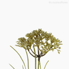 Galho Silver Artificial - Branco (12732)