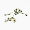 Galho Mini Margarida Artificial - Branco (12772)