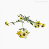 Galho Mini Margarida Artificial - Amarelo (12771)