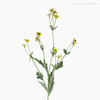 Galho Mini Margarida Artificial - Amarelo (12771)