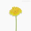 Galho Gérbera Artificial - Amarelo (10024)