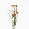 Galho Silver Artificial - Laranja (12736)