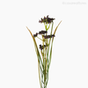 Galho Silver Artificial - Roxo (12738)