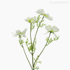Galho Cosmos X4 Artificial - Creme (012820)