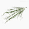 Buquê Folhagem Barba de Velho Flocked Grass Artificial - Verde Escuro (11150)