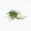 Buquê Folhagem Barba de Velho Flocked Grass Artificial - Verde Escuro (11150)