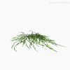 Buquê Folhagem Chorão Willow Artificial - Verde (11153)