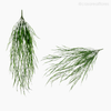Buquê Folhagem Chorão Willow Artificial - Verde (11153)