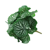 Buquê Folha Saxifraga Artificial - Verde (11422)