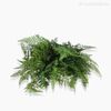 Buquê Samambaia Renda Portuguesa Artificial - Verde (9943)